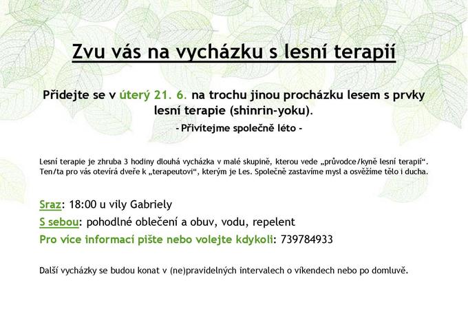 Lesní terapie plakát-001.jpg